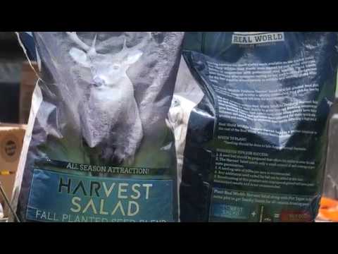 Real World's Harvest Salad