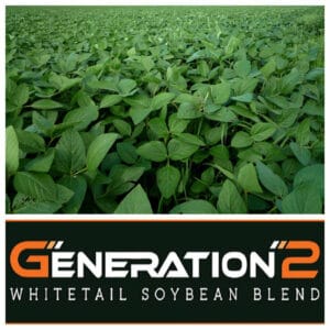 Generation 2 whitetail soy bean blend.